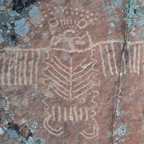 Ring-Lake-Ranch-Petroglyphs-Not-for-Sale-59_Scott-Copeland