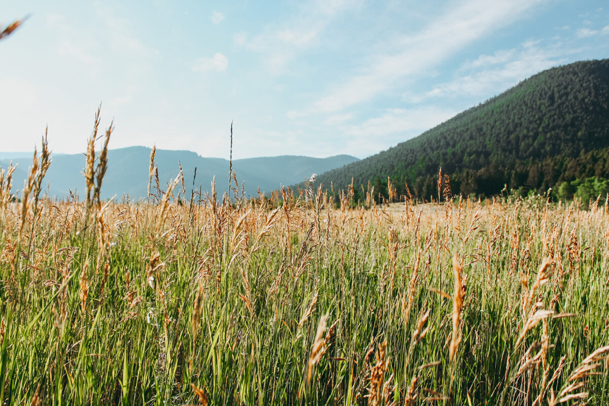 Twin Creek Ranch Road OutwestJH