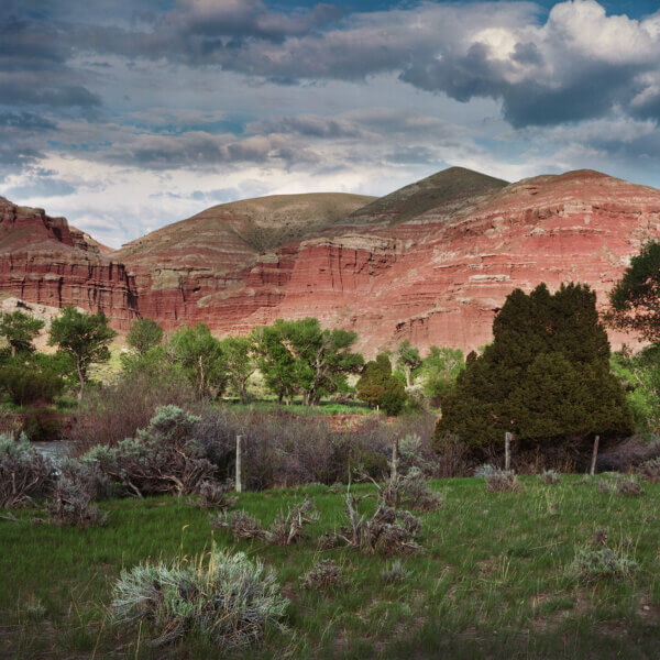 WRP_Wind River Rookery_Jansen Gunderson (1)