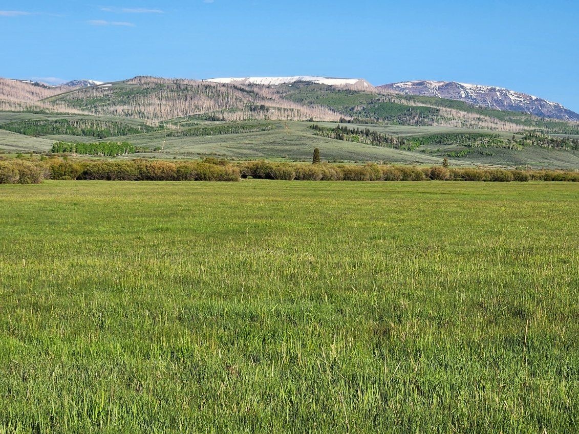 New Easement Preserves Wildlife and Agricultural in the Green River ...