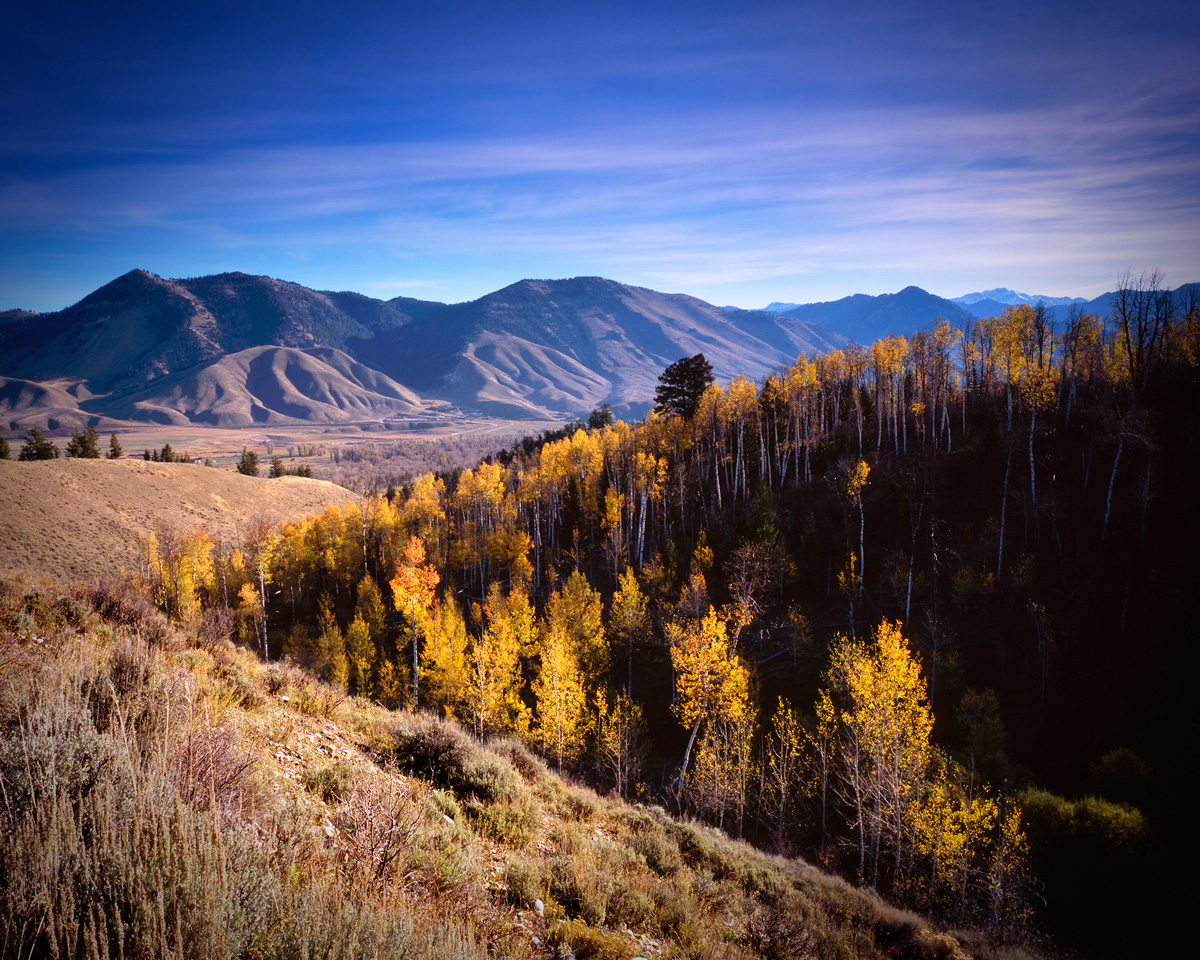 Munger Mountain