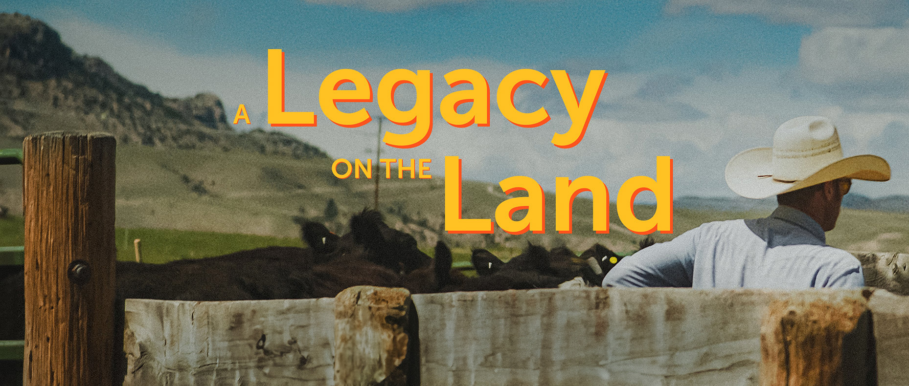 Legacy on the Land Cactus Pro