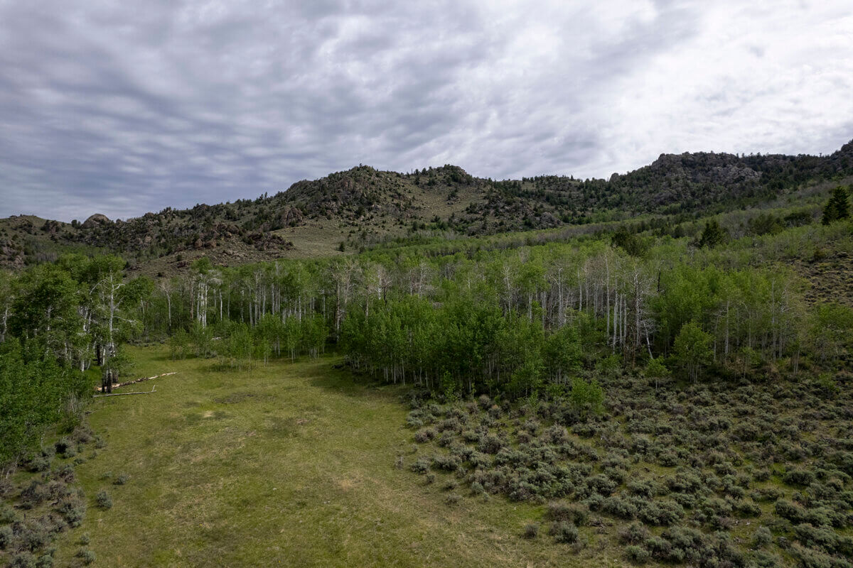 The Cutoff GRVP Zach Andres