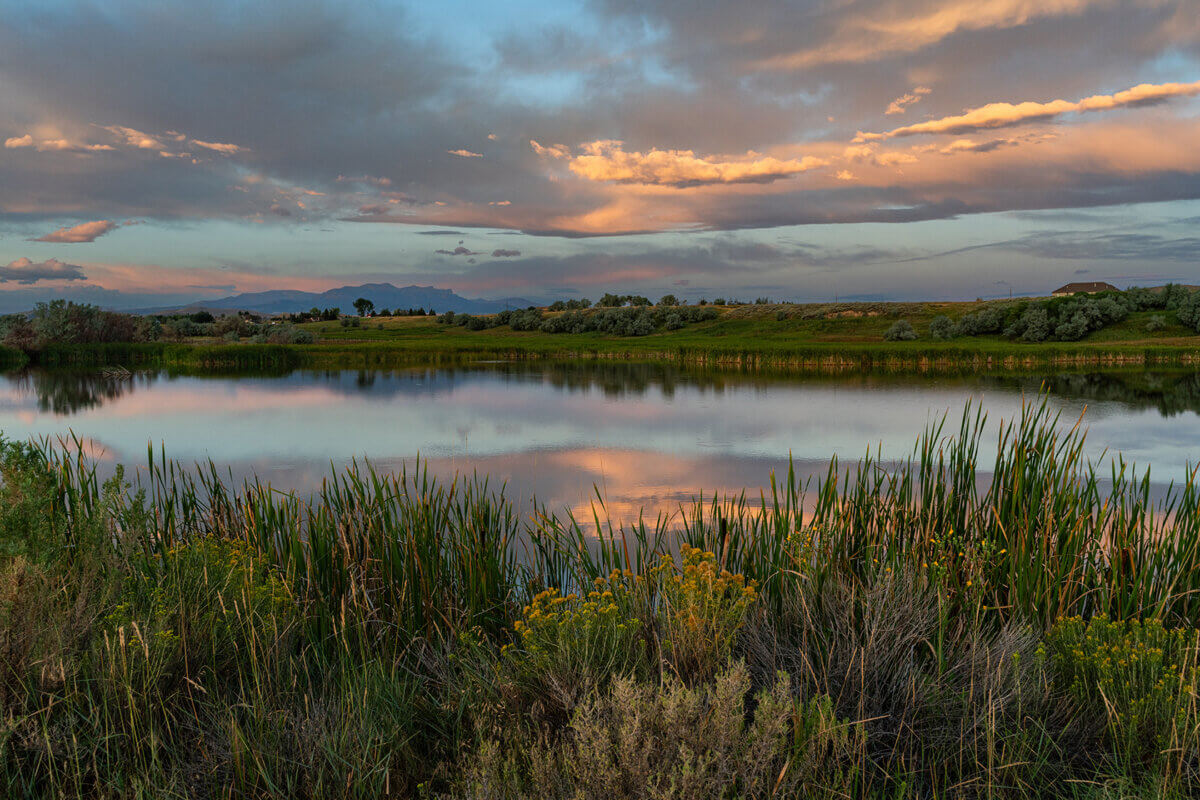 Sage Creek Josh Metten